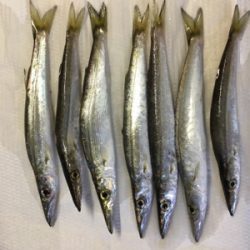 ジグでソウダガツオ！