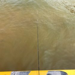 先日の大雨の影響がまだ…