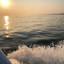 シーズン初イカメタル