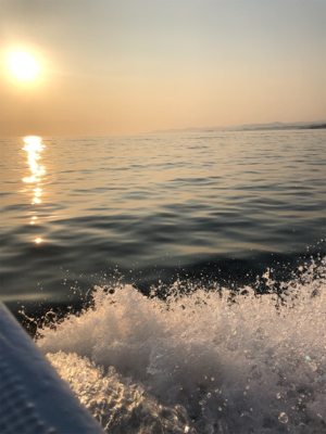 シーズン初イカメタル