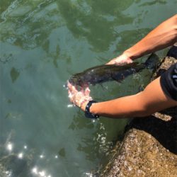 灼熱の耐久釣行