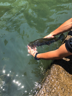 灼熱の耐久釣行