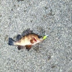 色を変えながら