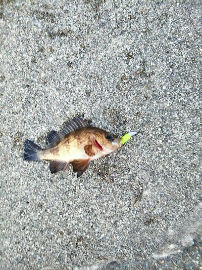 色を変えながら