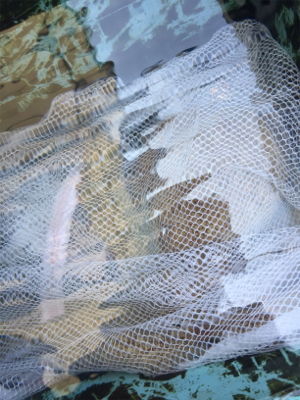 良いのは天気だけ