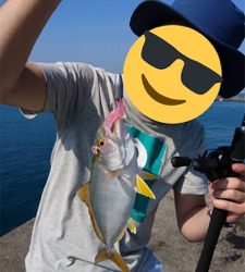 五目釣り方(笑)