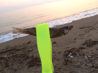 海水浴の帰りに・・・