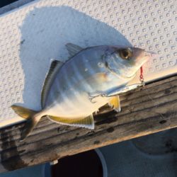 マイクロジギング