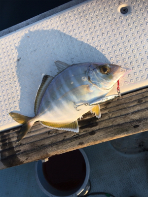 マイクロジギング