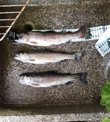 フィッシングリゾート上永野