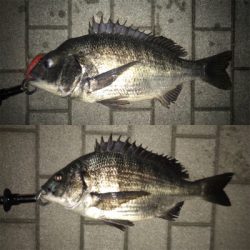 マルチゲーム（五目  笑）