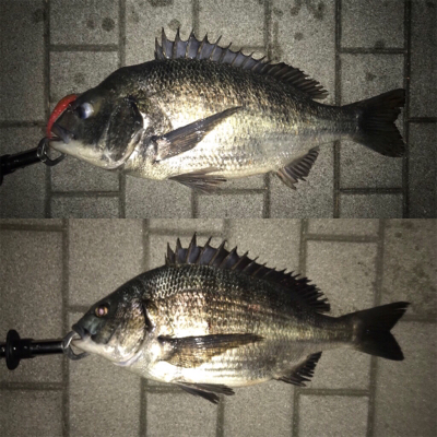 マルチゲーム（五目  笑）