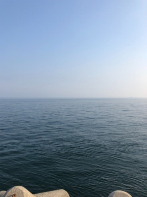 ツバス、惜しくも海へ帰る…