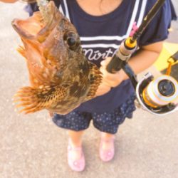 旅行の合間にパックロッドで