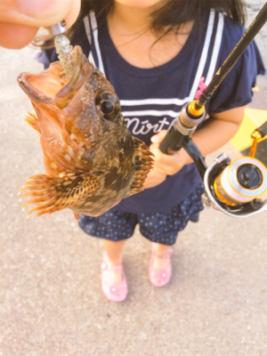 旅行の合間にパックロッドで