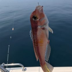 炎天下のマイボート 釣行