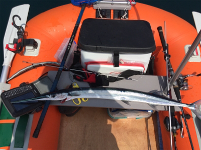 メーターオーバー！！