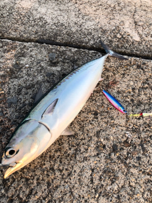 爆。トップゲーム