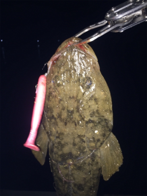 ナイトフラット