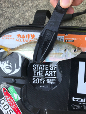 NO.12 渋い❗þ…