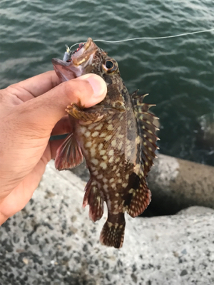 3連休の根魚