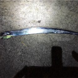 アジングロッドで、、、