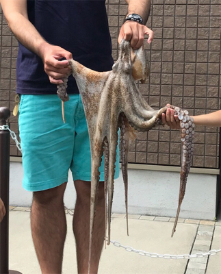 今年、初タコ釣り