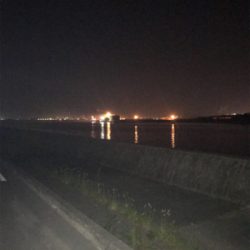 セアカゴケグモに注意