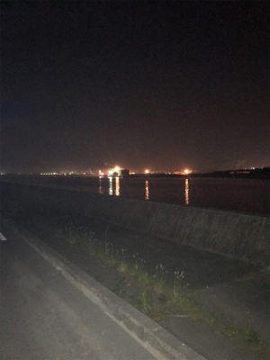 セアカゴケグモに注意