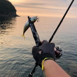 リハビリアジング