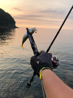 リハビリアジング