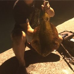 笠戸島でエギング&アジング