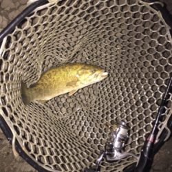 濁り、関係なし