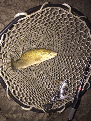 濁り、関係なし