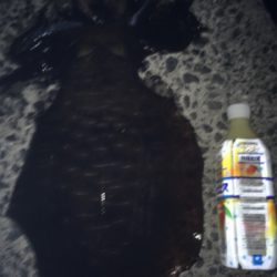 最近調子が良いです