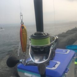 ツバス戻ってきてー