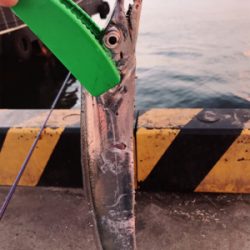 風強かったので！