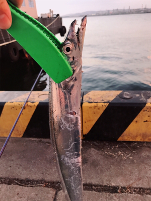 風強かったので！