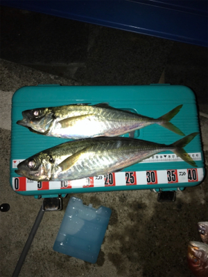 バチコンアジング&イカメタル