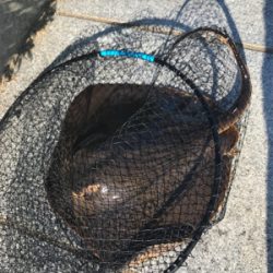 3バラシからの。