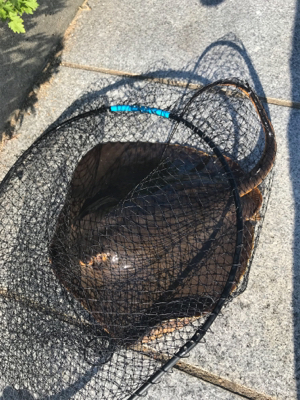 3バラシからの。