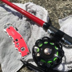 チヌさん留守かな？