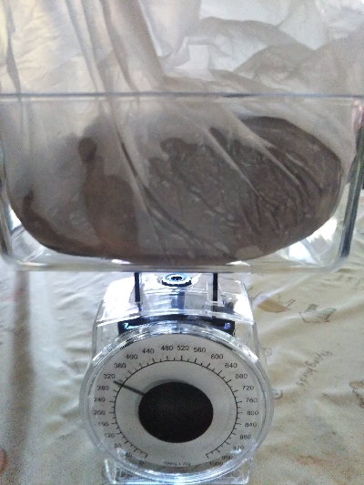 今週もオクトパッシング（南港）