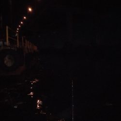 一投目のアタリでシャクったら穂先折れた…