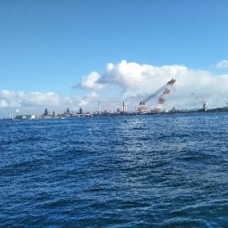 竿が折れ心も折れた、