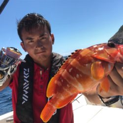 オフショアハードロックゲーム