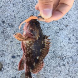 ガッシーゲーム