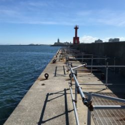 やっぱり楽しいチヌ釣り