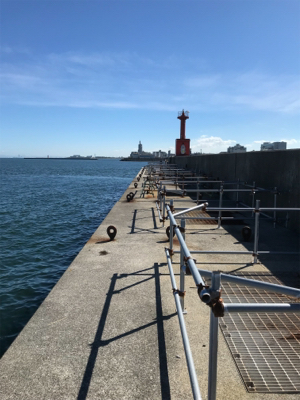 やっぱり楽しいチヌ釣り