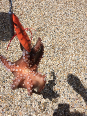 今日は渋かった